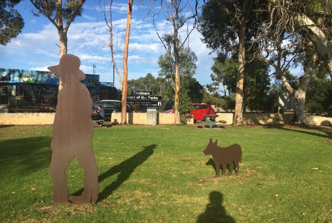 Tintinara Farmer and dog rs