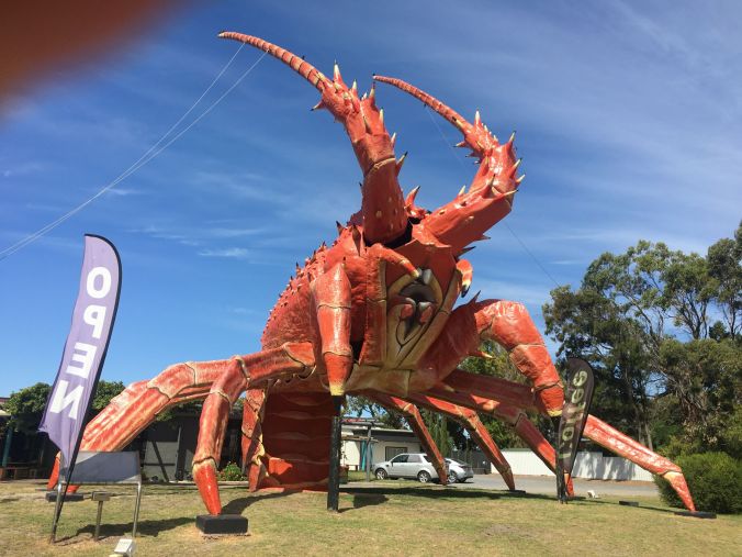 Larry the Lobster front rs