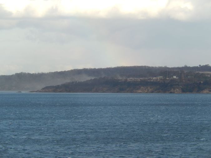 Looking across to Eden woodchip mill