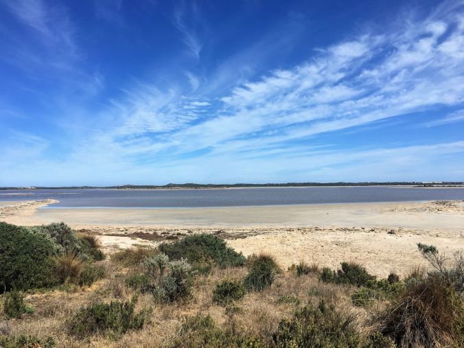 Looking for pelicans at Coorong SA March 2020
