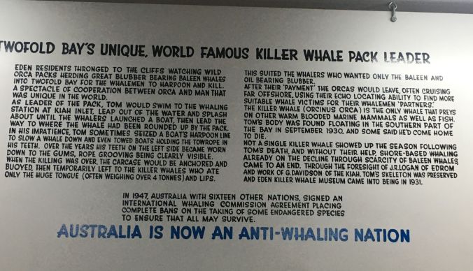 Old Tom Explanatory Board, Eden, NSW