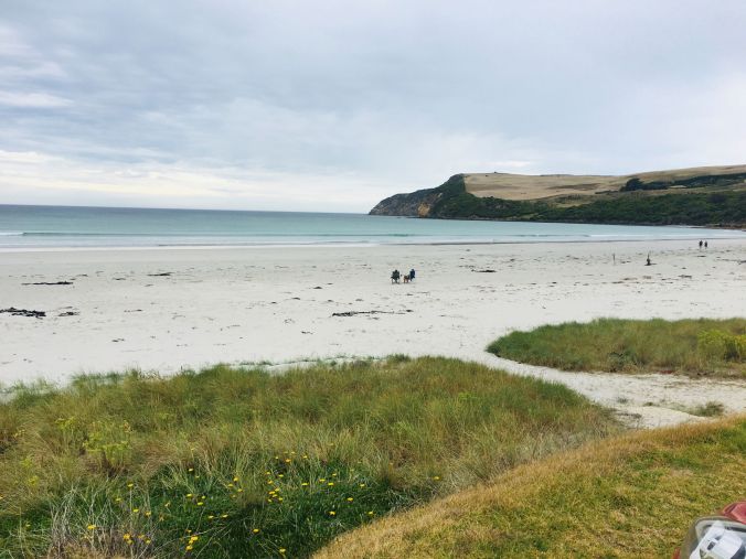 rs cape bridgewater beach