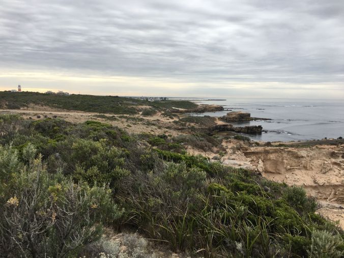 rs Cape Northumberland Lighthouse