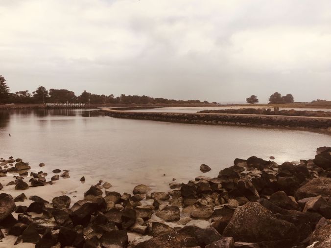 rs Griffiths Island Port Fairy filtered