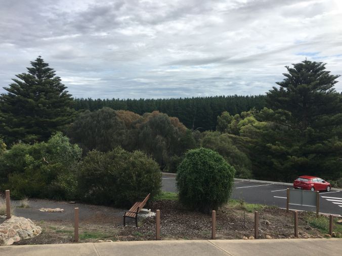 rs Only car in the car park at Tantanoola Caves