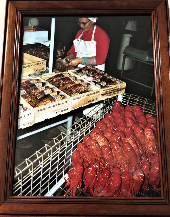 rs Packing lobster at Port MacDonnell SA