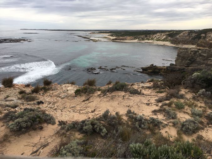 rs rocky coastline of Port MacDonnell