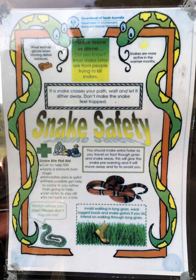 rs Snake Warning at Tantanoola Caves