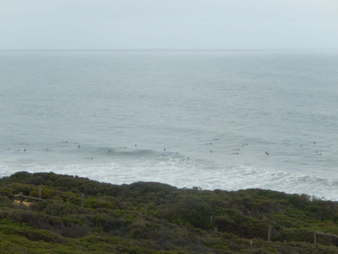 surfers waiting to catch a wave