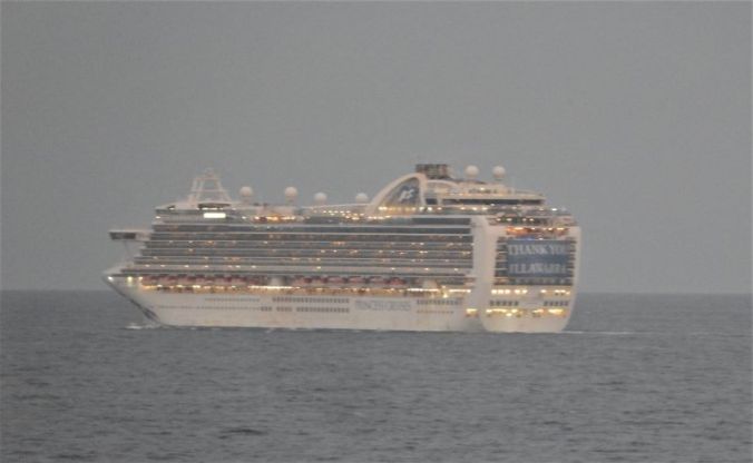 Thank you Illawarra Ruby Princess