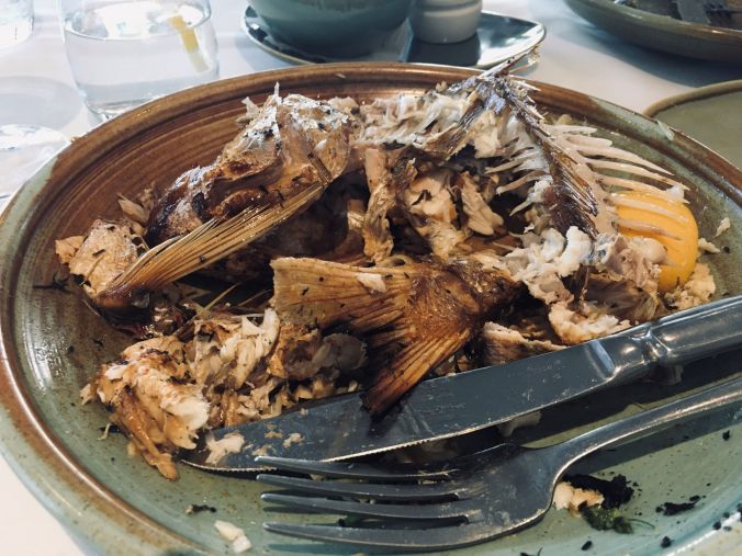 Baked Snapper Remnants